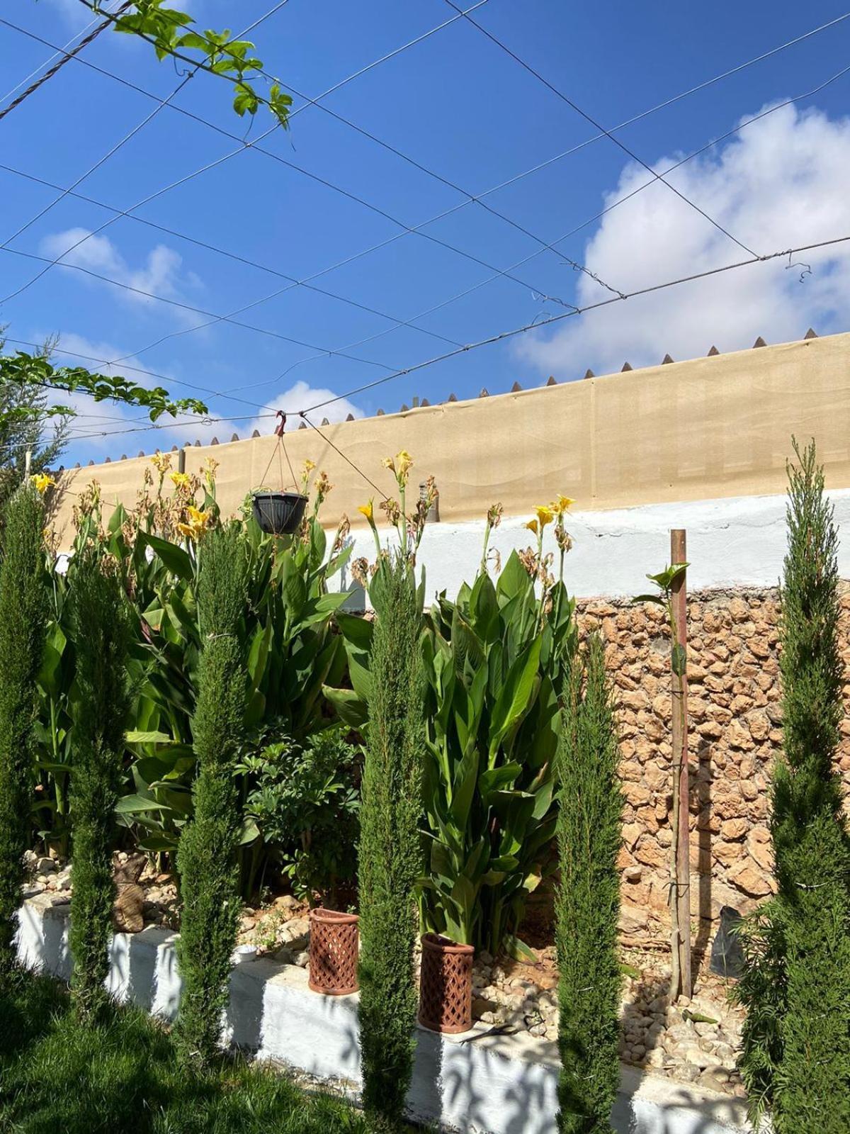 Simple Home Madaba Exterior photo